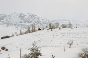 Escape to the Mountains in Every Season