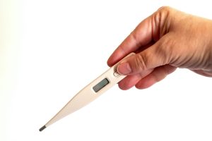 Toaster ovens with precise temperature and humidity controls