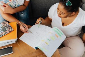 Mentoring Programs and Peer-to-Peer Learning
