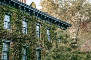 Green Building Certifications Influencing Homebuyer Decisions