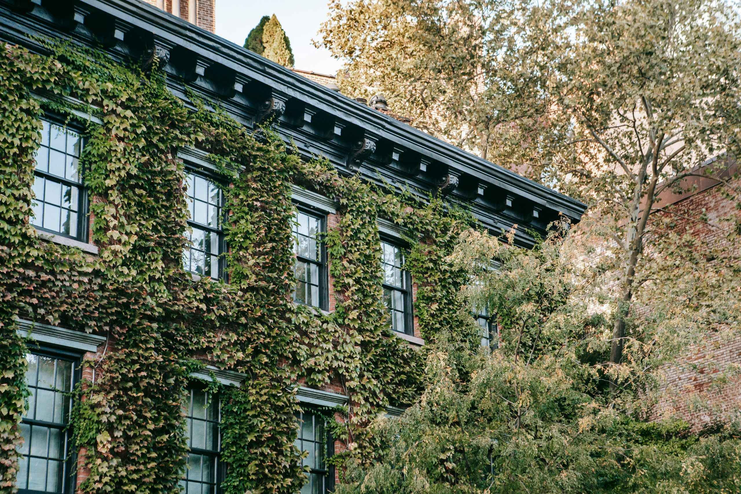 Green Building Certifications Influencing Homebuyer Decisions