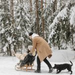 Seasonal Vacation Ideas From Spring to Winter