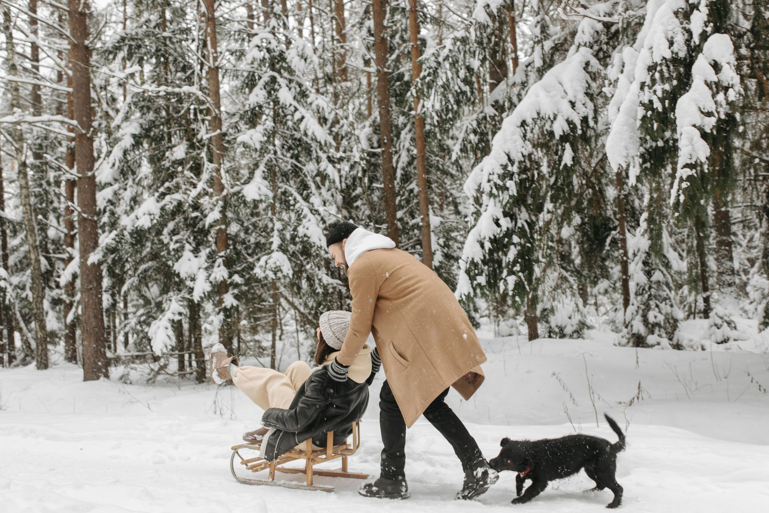 Seasonal Vacation Ideas From Spring to Winter