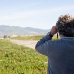 Best Hiking Vacations for Outdoor Enthusiasts