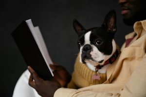 Smart Home Features Renters Are Actively Seeking Now
