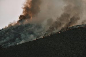 How to Manage Multiple Life Roles Without Burning Out