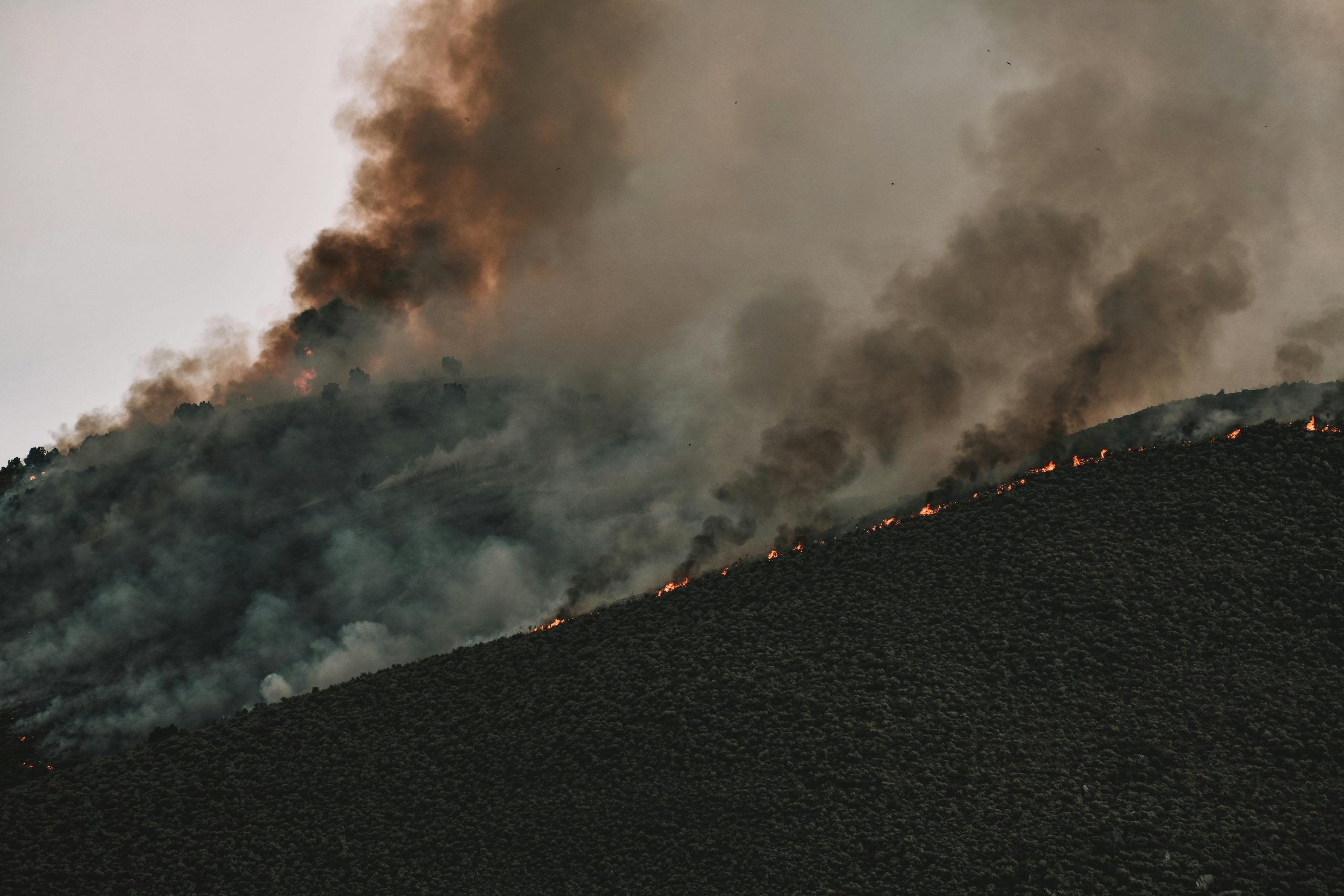 How to Manage Multiple Life Roles Without Burning Out