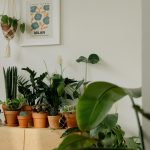 Green Finance: Investing for a Sustainable World