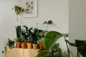 Green Finance: Investing for a Sustainable World
