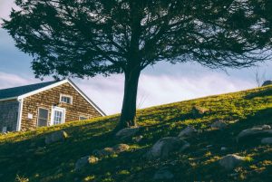 Family Trusts and Estate Planning Explained Simply