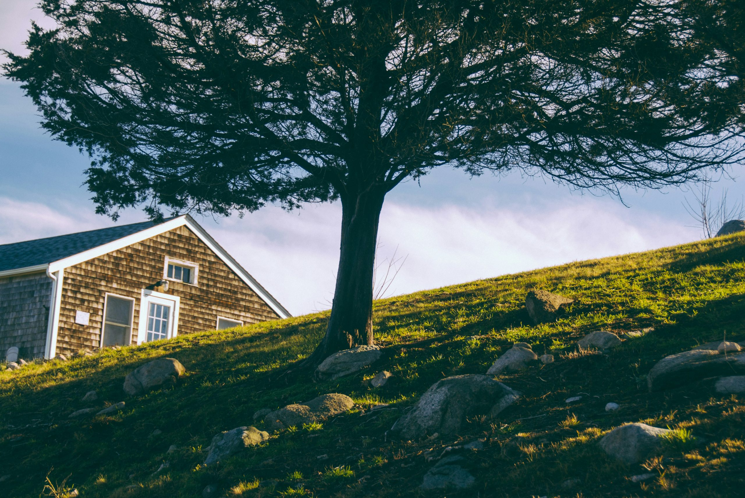 Family Trusts and Estate Planning Explained Simply