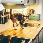 Maximize ROI by Updating Kitchen and Bathrooms
