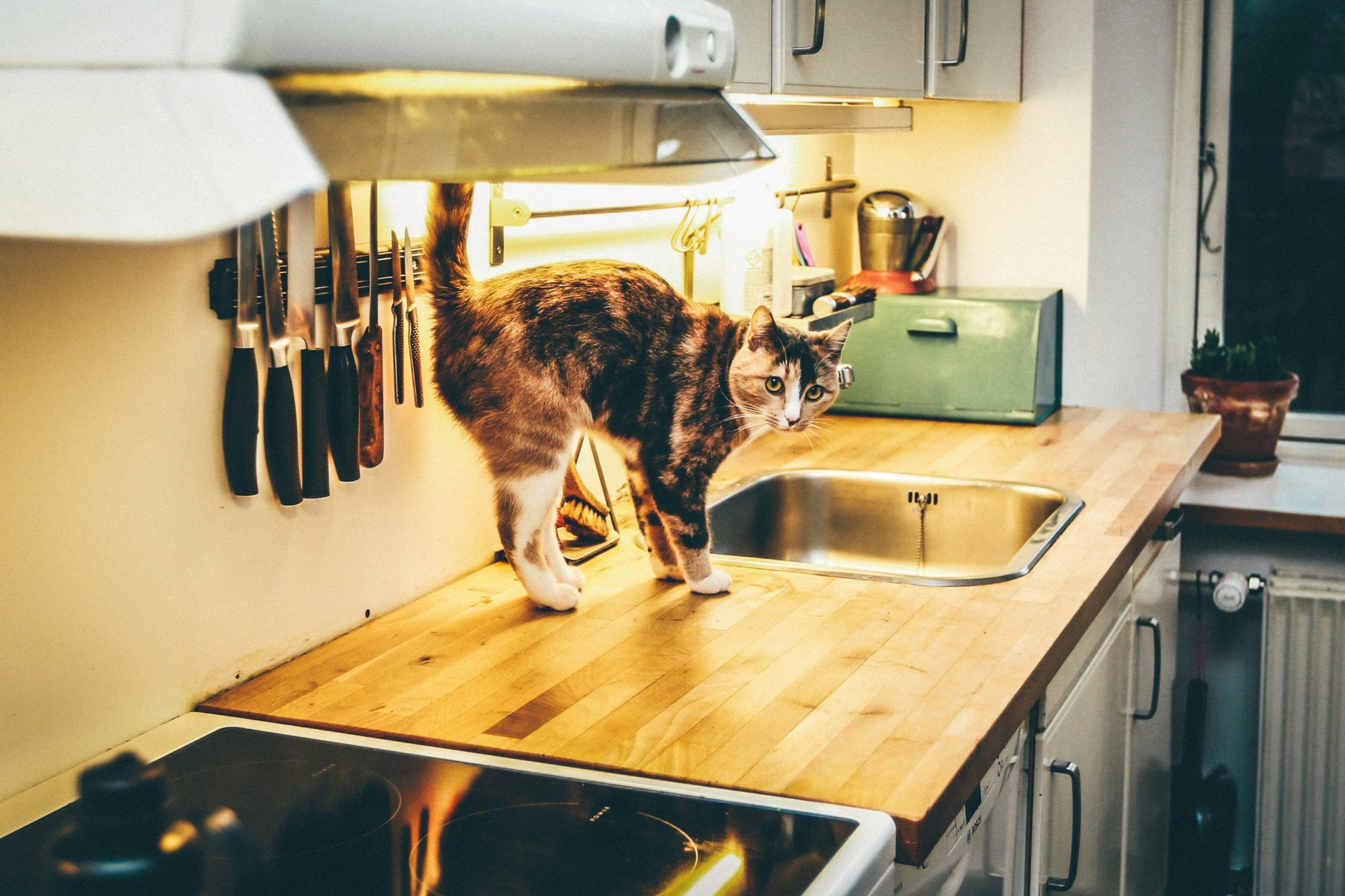 Maximize ROI by Updating Kitchen and Bathrooms