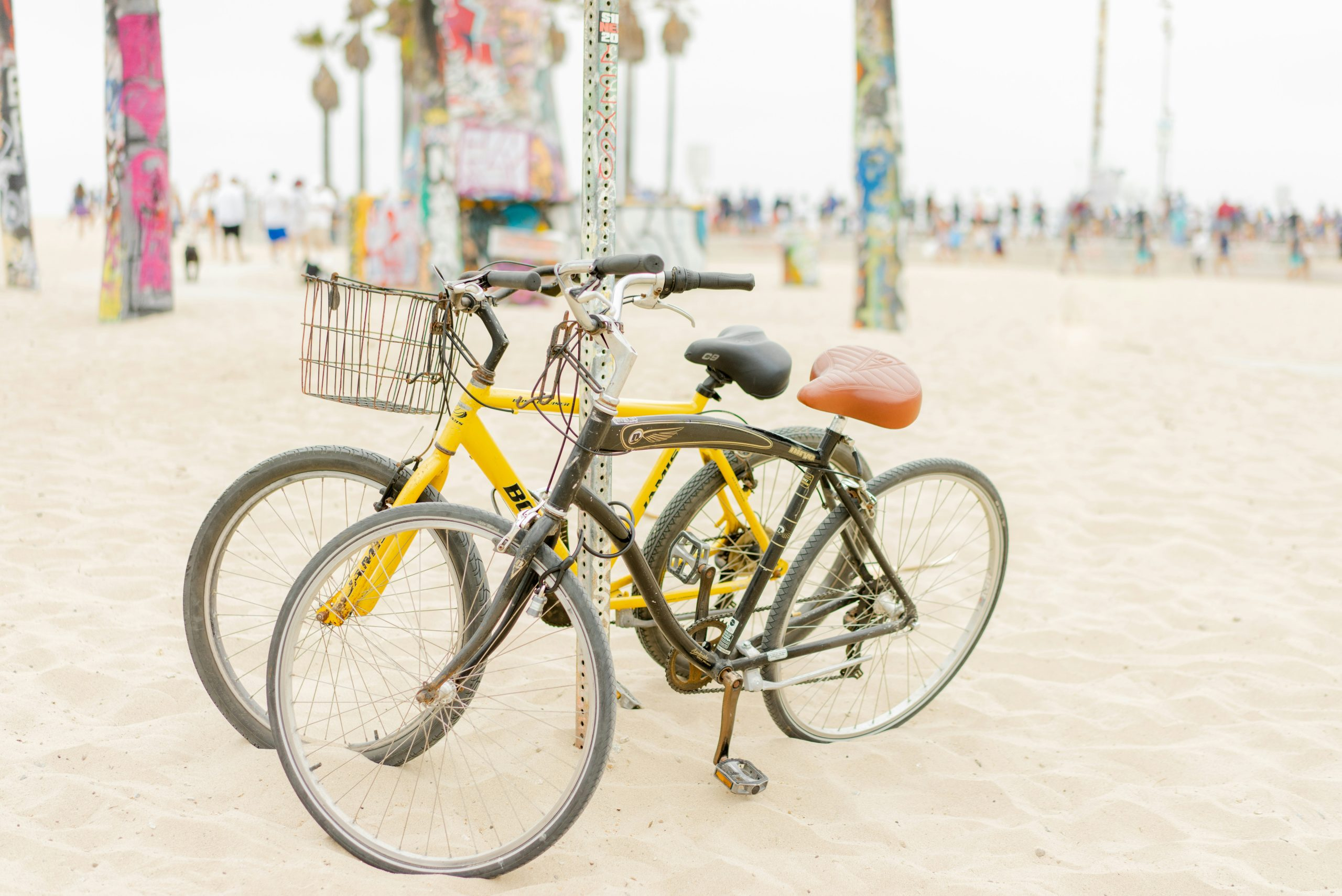 Cycling Holidays: Scenic Routes for Every Ability