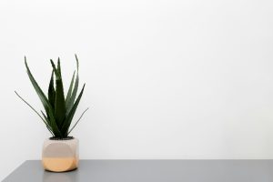 AI-driven air purifiers customizing indoor air quality