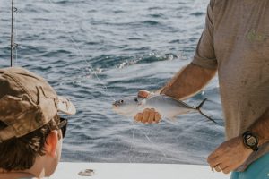 Sustainable Seafood: Cooking With the Ocean in Mind