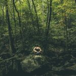 Wellness Retreats for Stress-Free Getaways in Nature