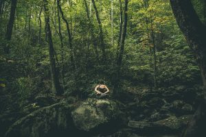Wellness Retreats for Stress-Free Getaways in Nature