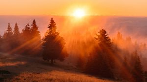 How to Create Morning Routines for Maximum Energy