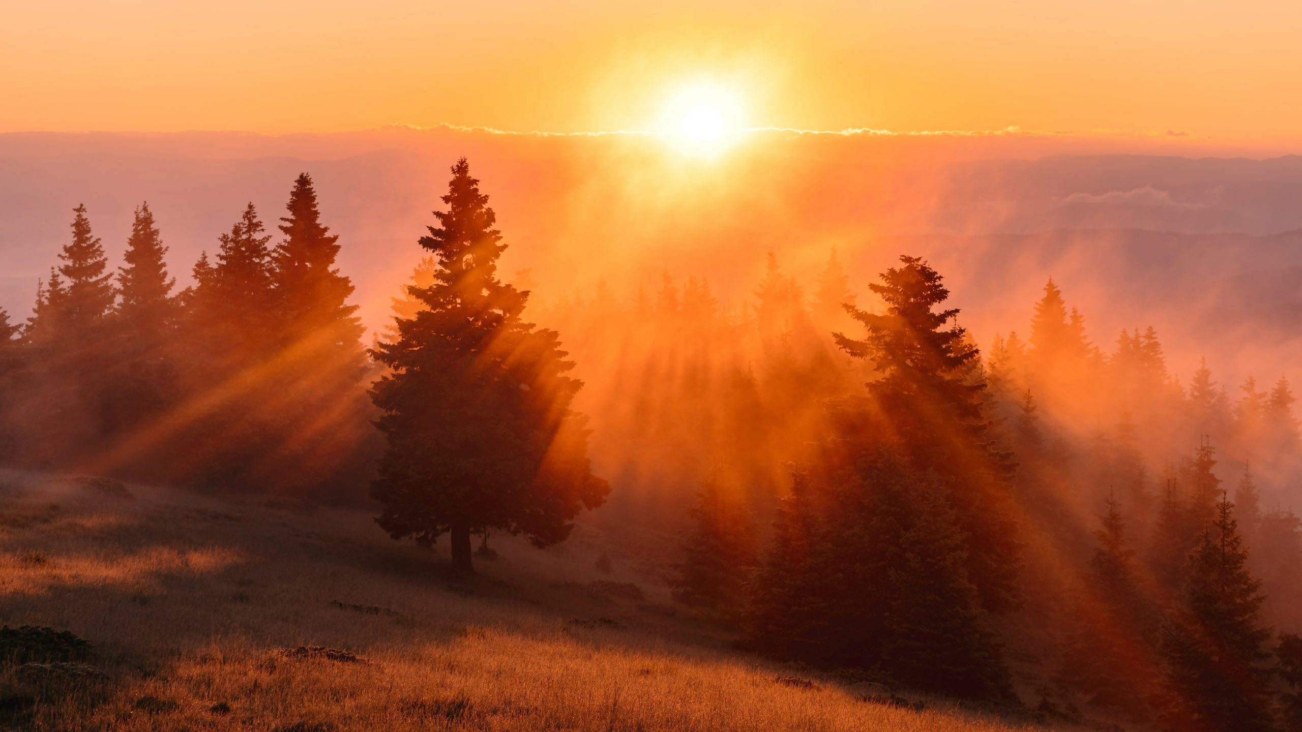 How to Create Morning Routines for Maximum Energy