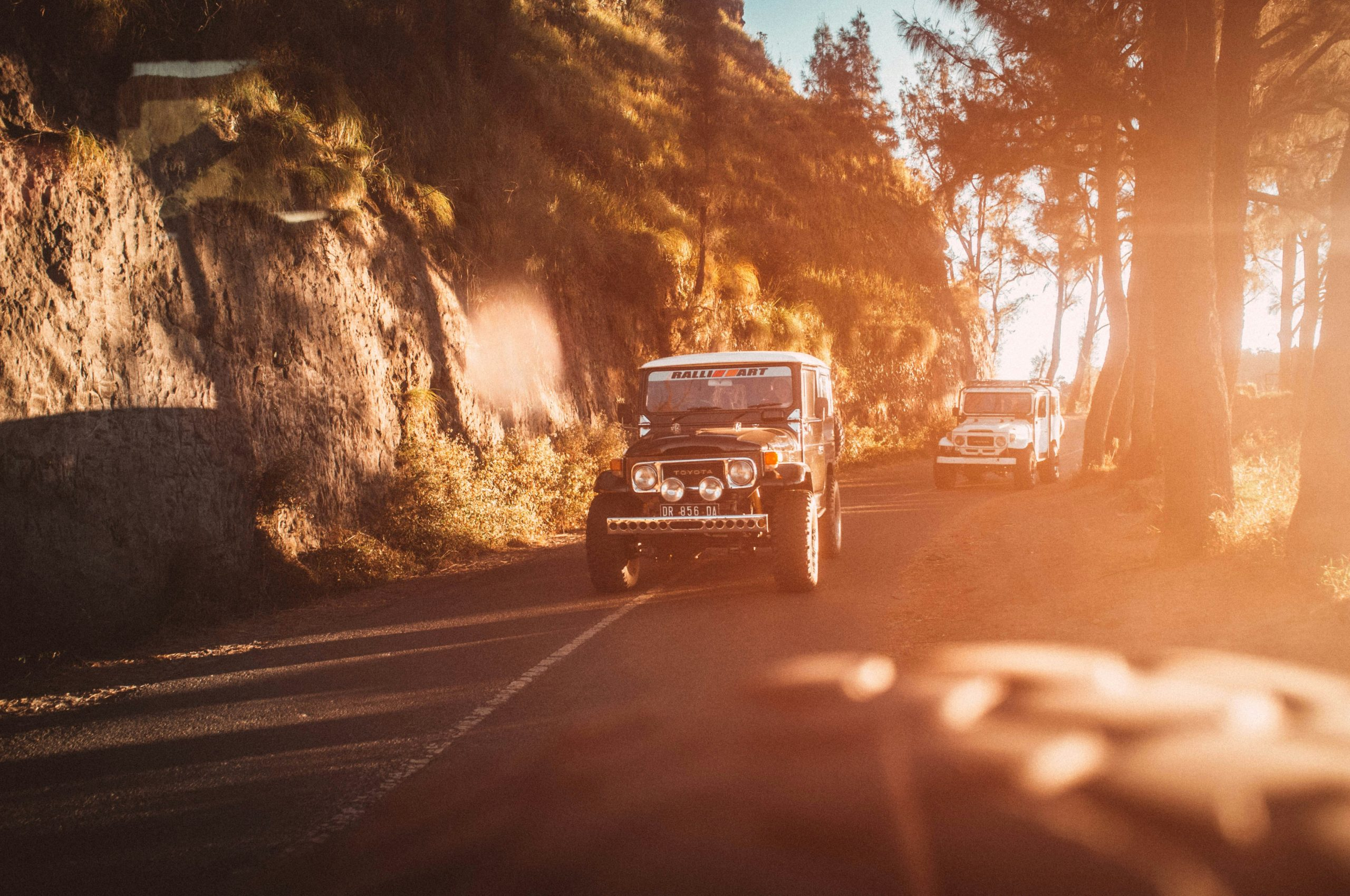 Why Remote Vehicle Diagnostics Save Time and Money