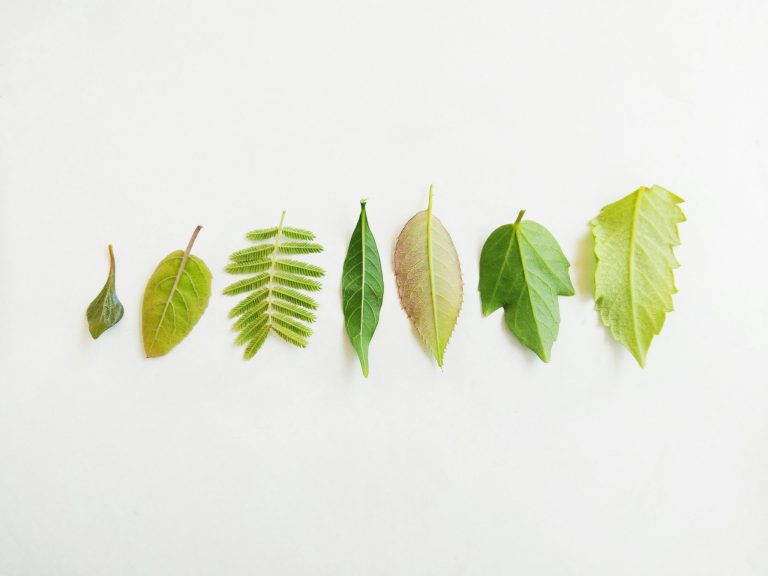 Sustainable Living: Small Changes With Big Environmental Impact