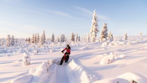 Winter Wonderland Vacations for Snow and Ski Lovers